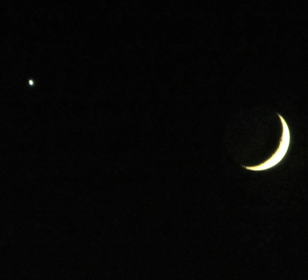 Venus and the Crescent Moon by photogypsy