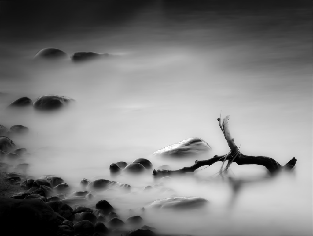 rocks and twig by northy
