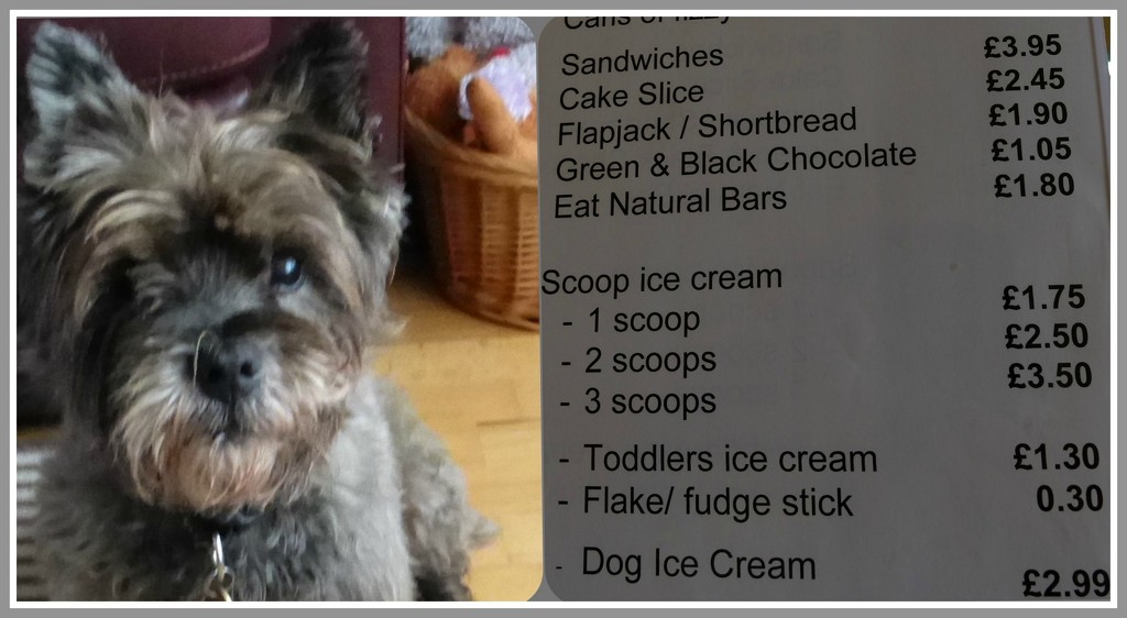 doggy ice cream by quietpurplehaze