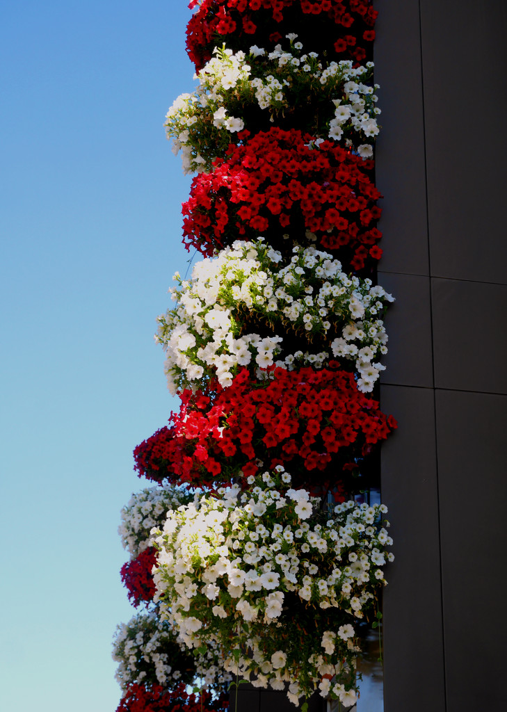Stacking Flower Pots  by gq