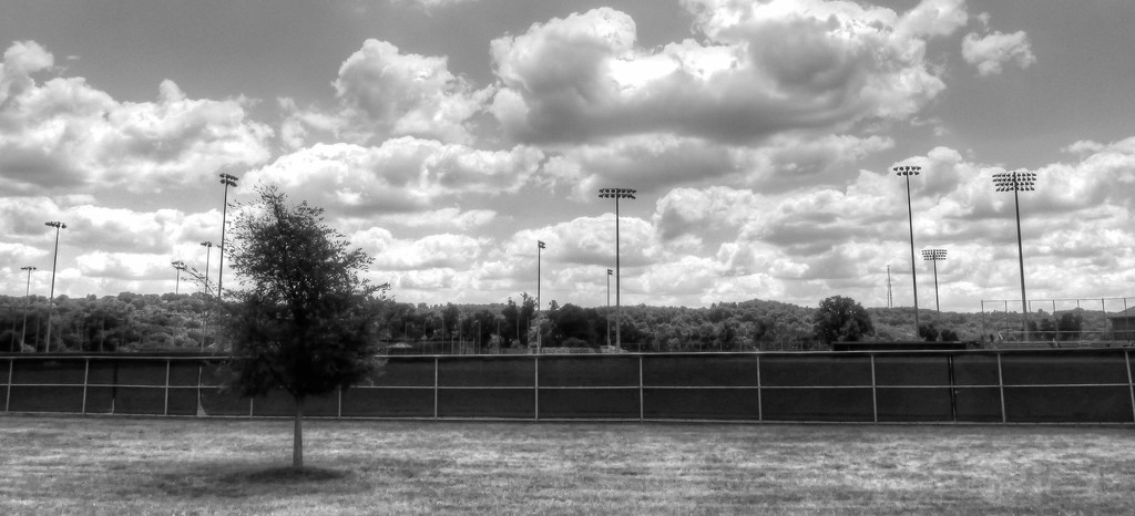 Baseball field in black and white by mittens
