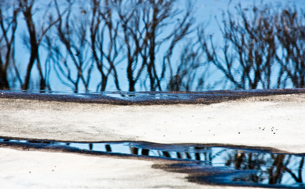 clifftop reflections by annied