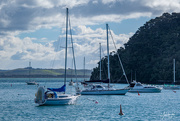 19th Jul 2018 - Yachts at Russell