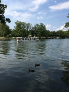 14th Jul 2018 - Boat on the Donau river