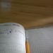 notebook by pleiotropy