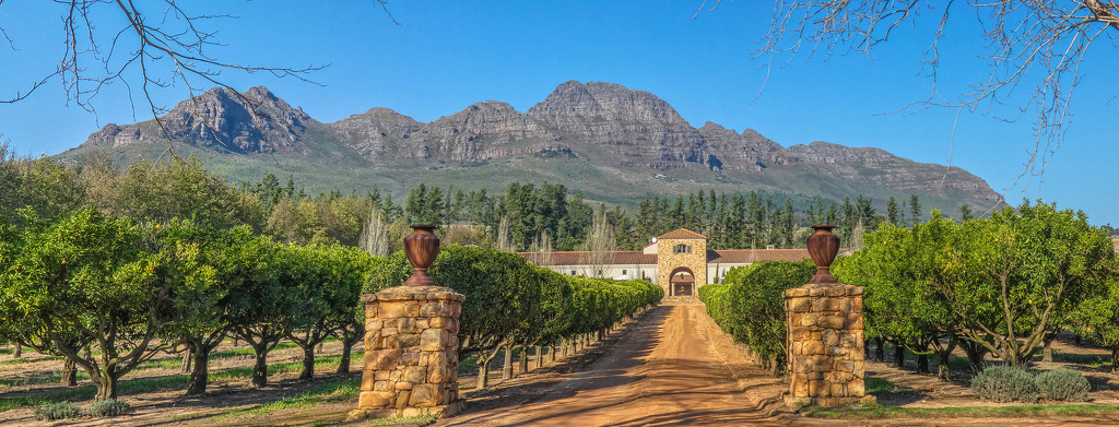 Waterford wine estate by ludwigsdiana