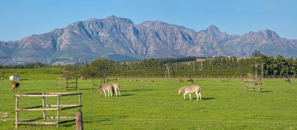 Stellenboschberg as a pano by ludwigsdiana