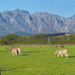 Stellenboschberg as a pano by ludwigsdiana