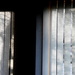 Silhouettes seen through the blinds. by bruni