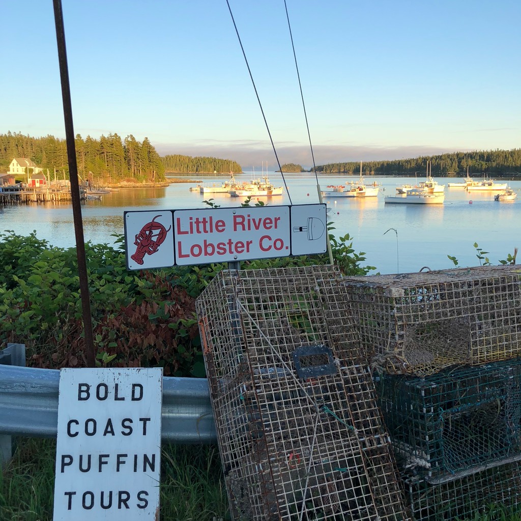 Cutler Harbor, Cutler, Maine by berelaxed