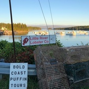 21st Jul 2018 - Cutler Harbor, Cutler, Maine