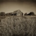 Acres by ajisaac