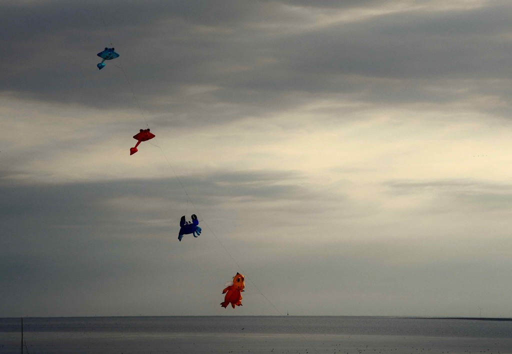 Kites & the Sea by toinette