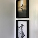 Birds on the wall by joemuli