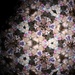 Photos in Kaleidoscope by vincent24