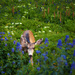 Peaking Through the Wildflowers by exposure4u