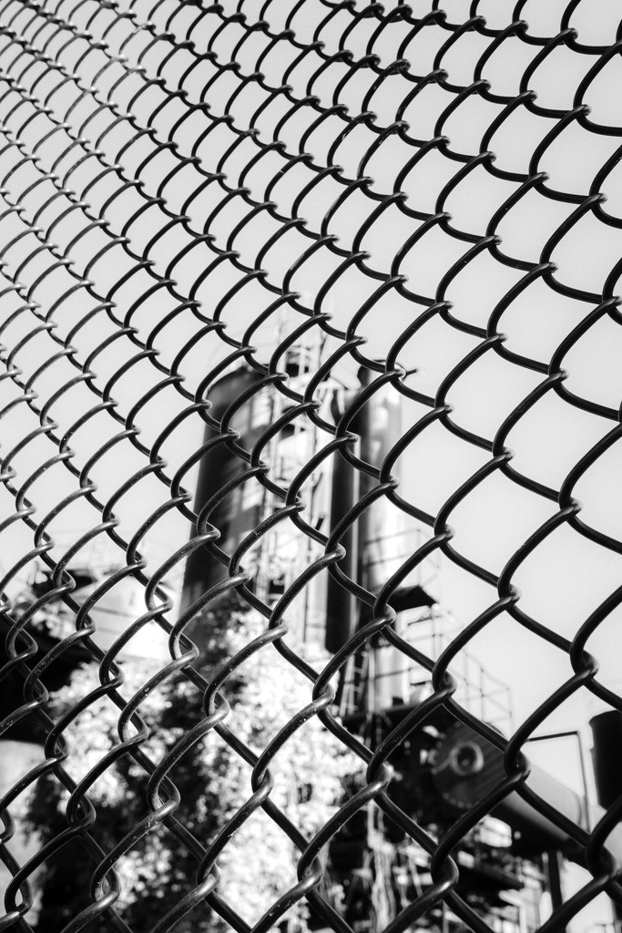 Fenced in by cristinaledesma33