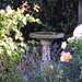 Trying to keep the birdbath topped up in this hot weather (31.7c) by mattjcuk