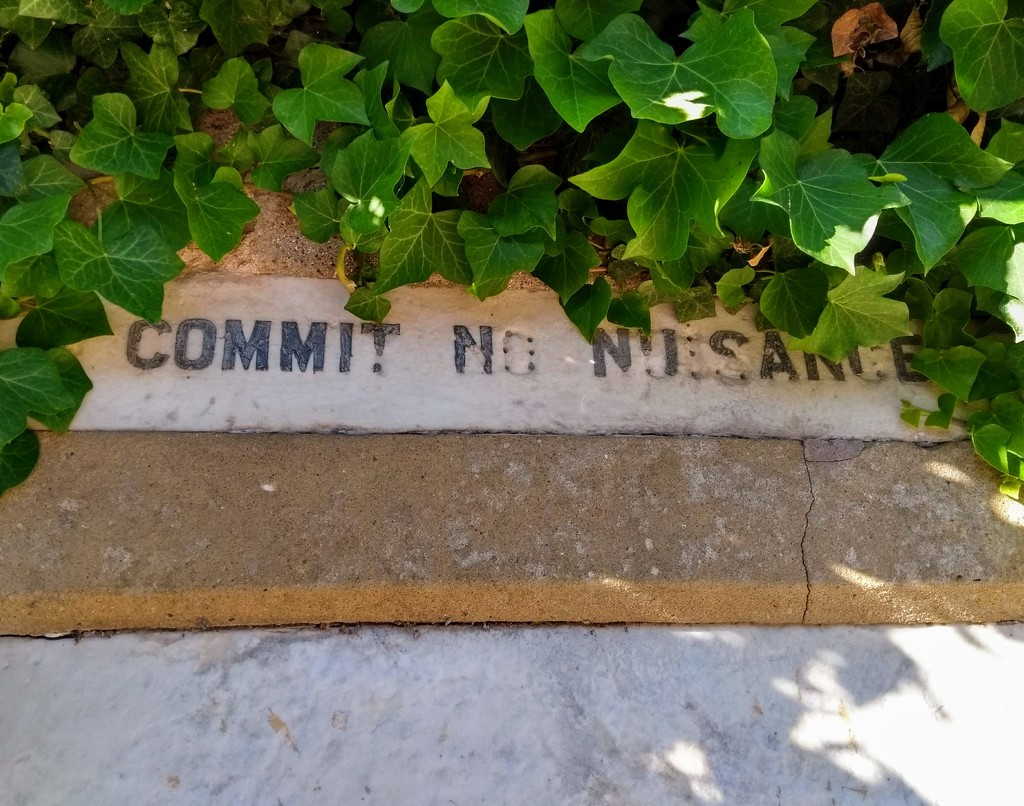 Commit No Nuisance by 4rky