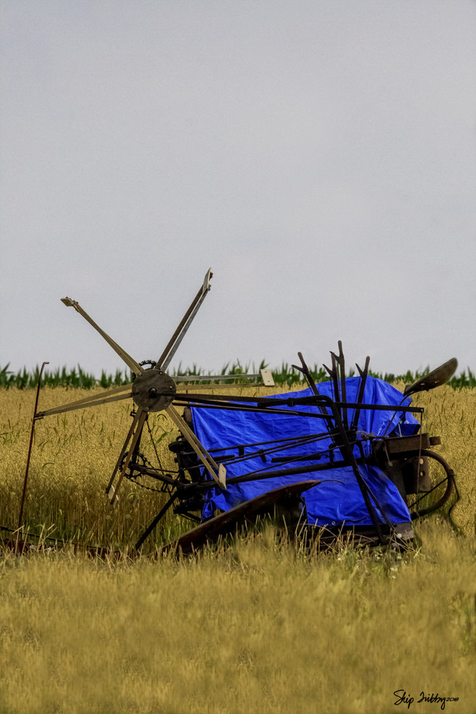 Amish Combine by skipt07
