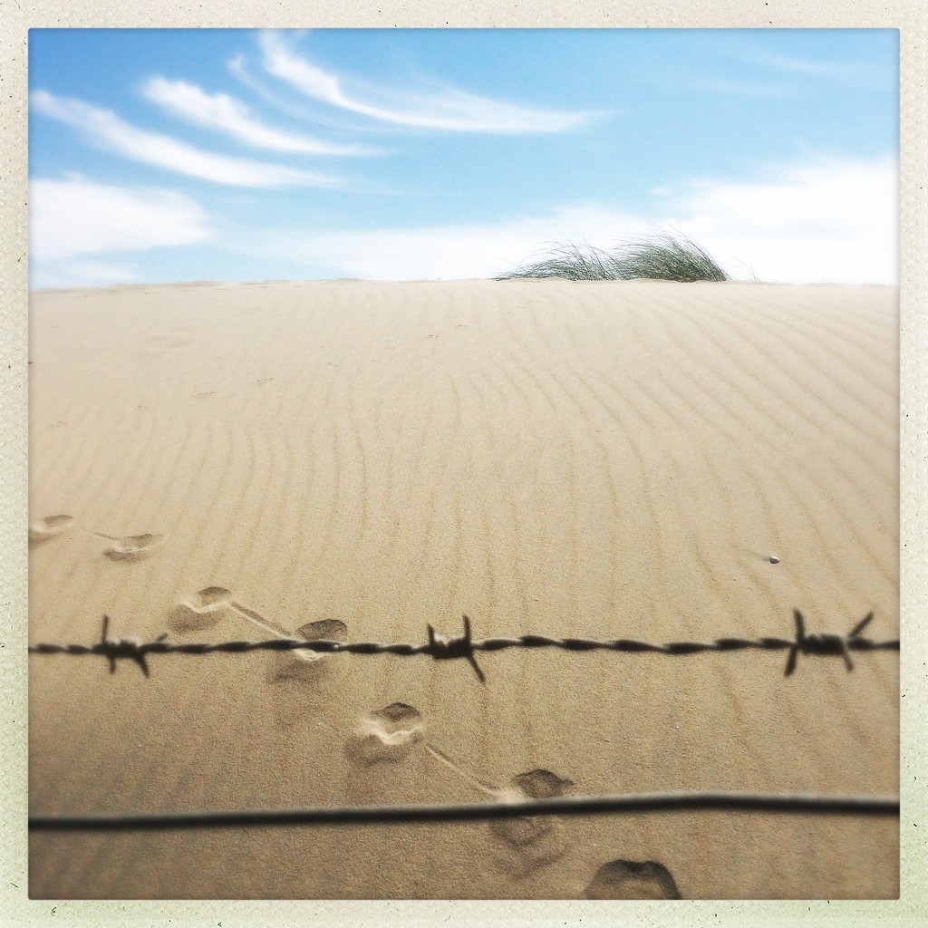 Dune by mastermek