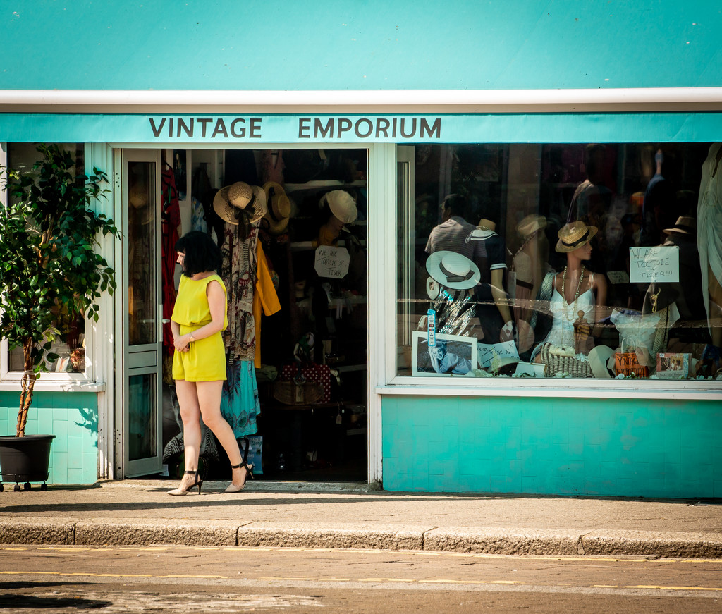 Vintage Emporium by swillinbillyflynn