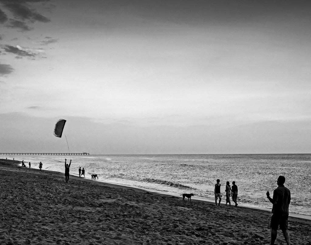 Kite Launch  by tosee