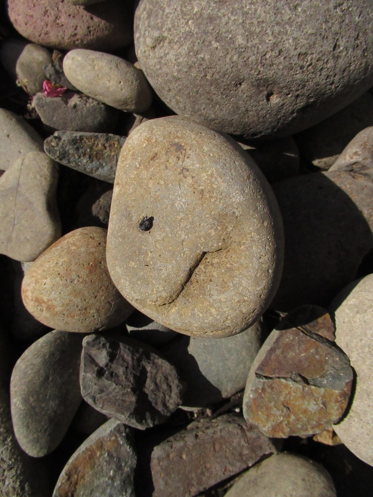 Rock Expression by granagringa