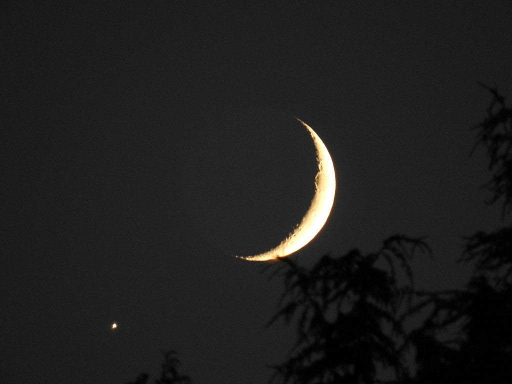 Crescent Moon and Venus by seattlite