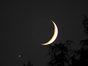 26th Jul 2018 - Crescent Moon and Venus