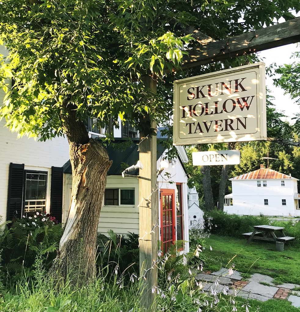 Day 313:  Skunk Hollow Tavern  by sheilalorson