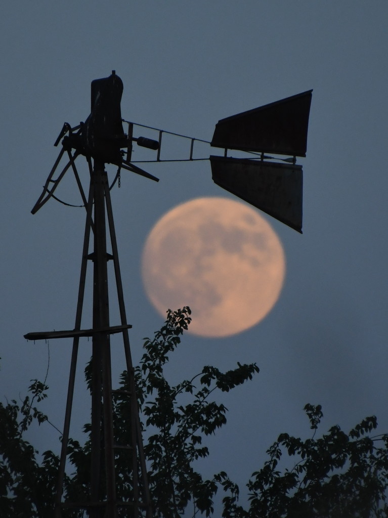 Windmill Catches the Moon by kareenking