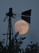 26th Jul 2018 - Windmill Catches the Moon