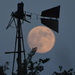 Windmill Catches the Moon by kareenking