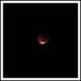 Eclypse of the moon taken 15 minutes ago 5.45am SE Australian time by 777margo