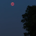 Bloodmoon and Mars by leonbuys83