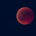 Lunar Eclipse by leonbuys83