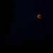 Lunar eclipse by toinette