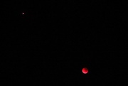 28th Jul 2018 - The Blood Moon and Mars