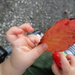 Cute Way to Hold a Leaf by julie