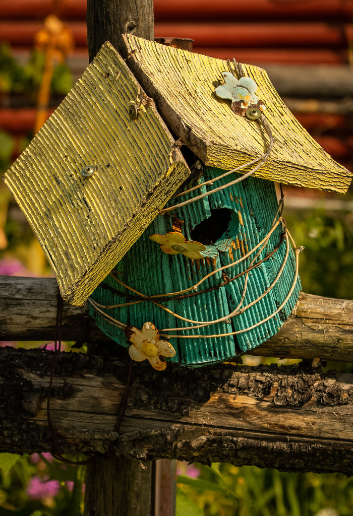 Funky Bird House by 365karly1