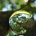 Day 201: More LensBall fun .... by jeanniec57