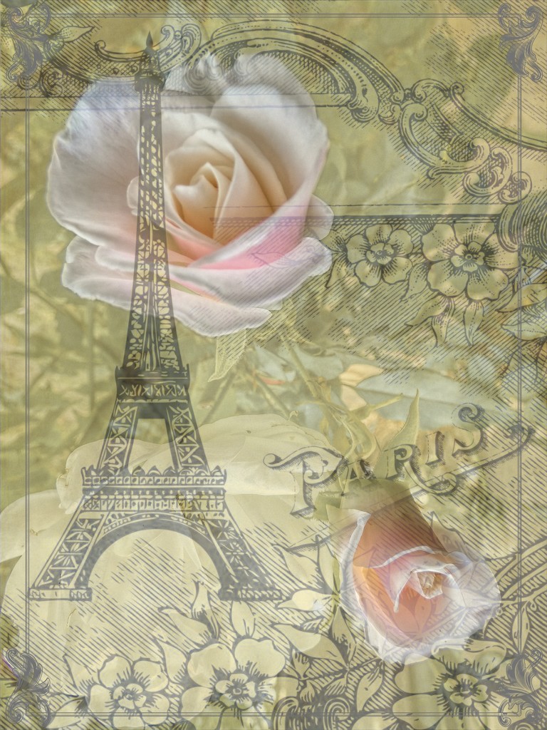 La Vie En Rose by Edith Piaf by ludwigsdiana