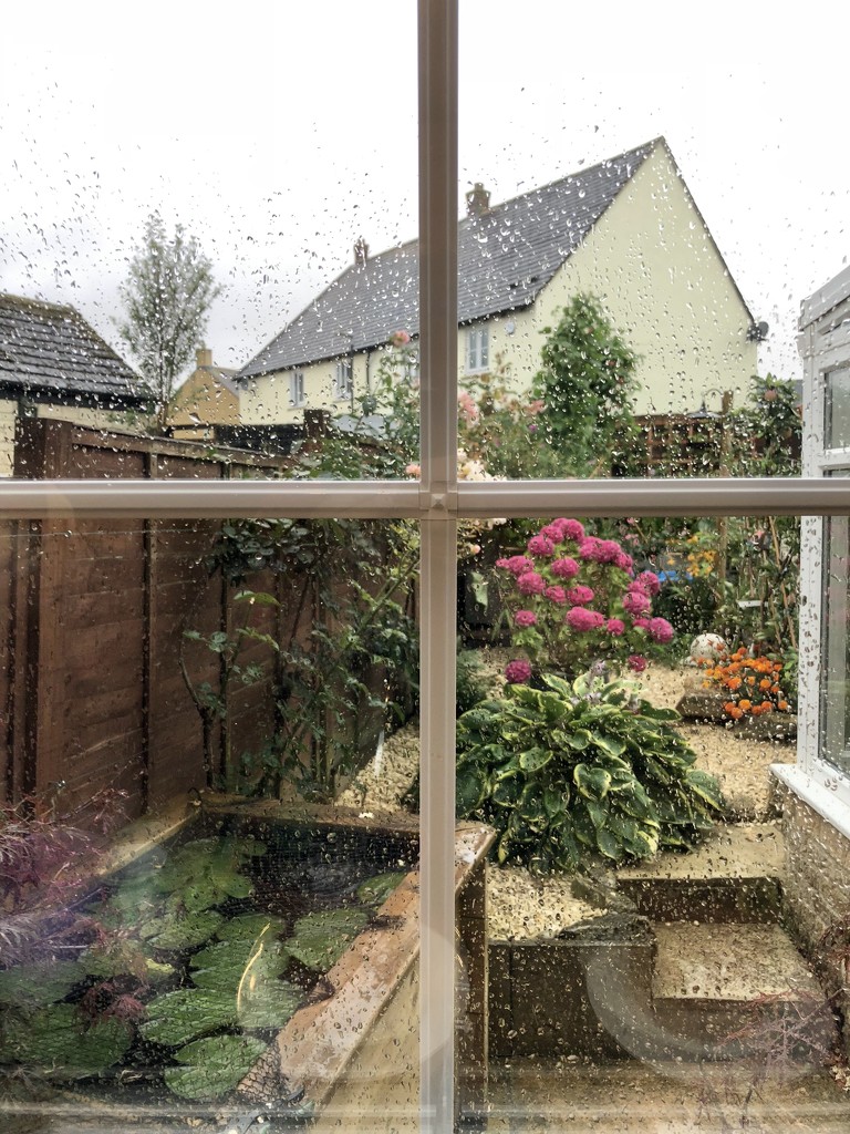 It’s raining! by 365projectdrewpdavies