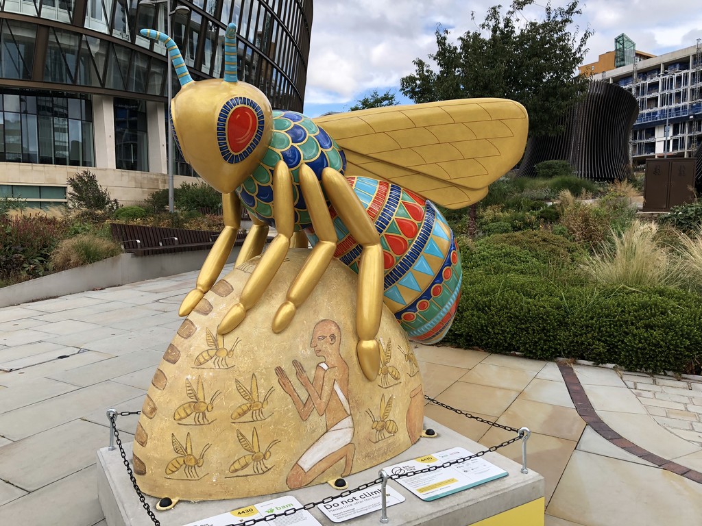 Bee in the City! Manchester by bizziebeeme