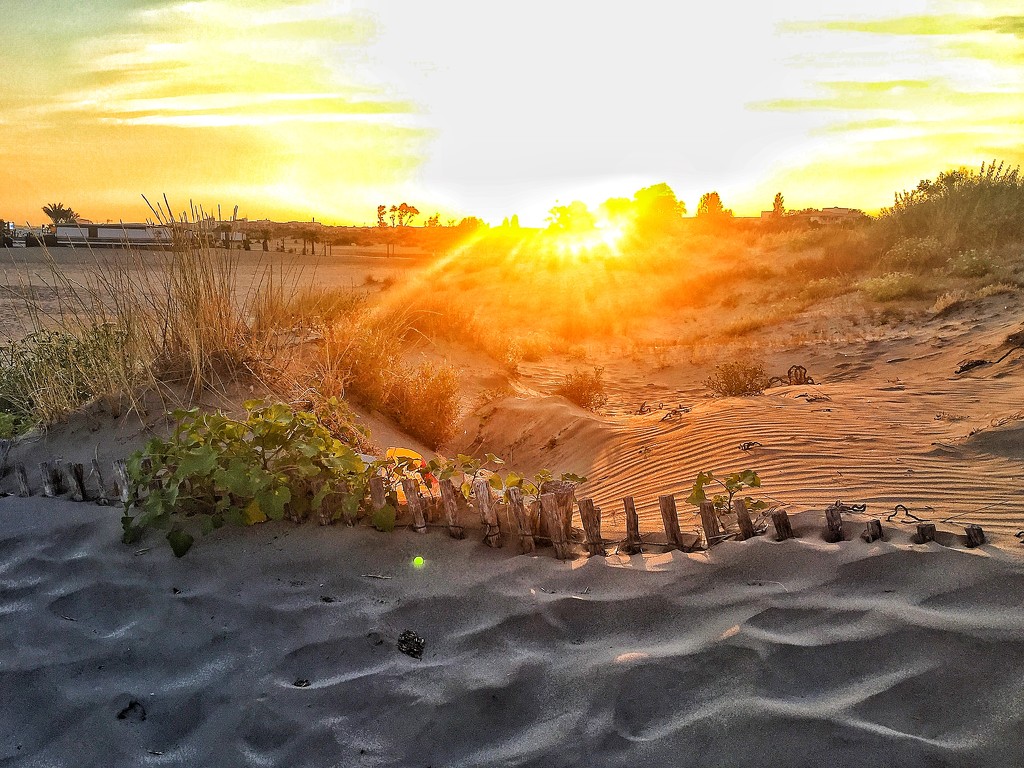  Sunset on the dunes.  by cocobella