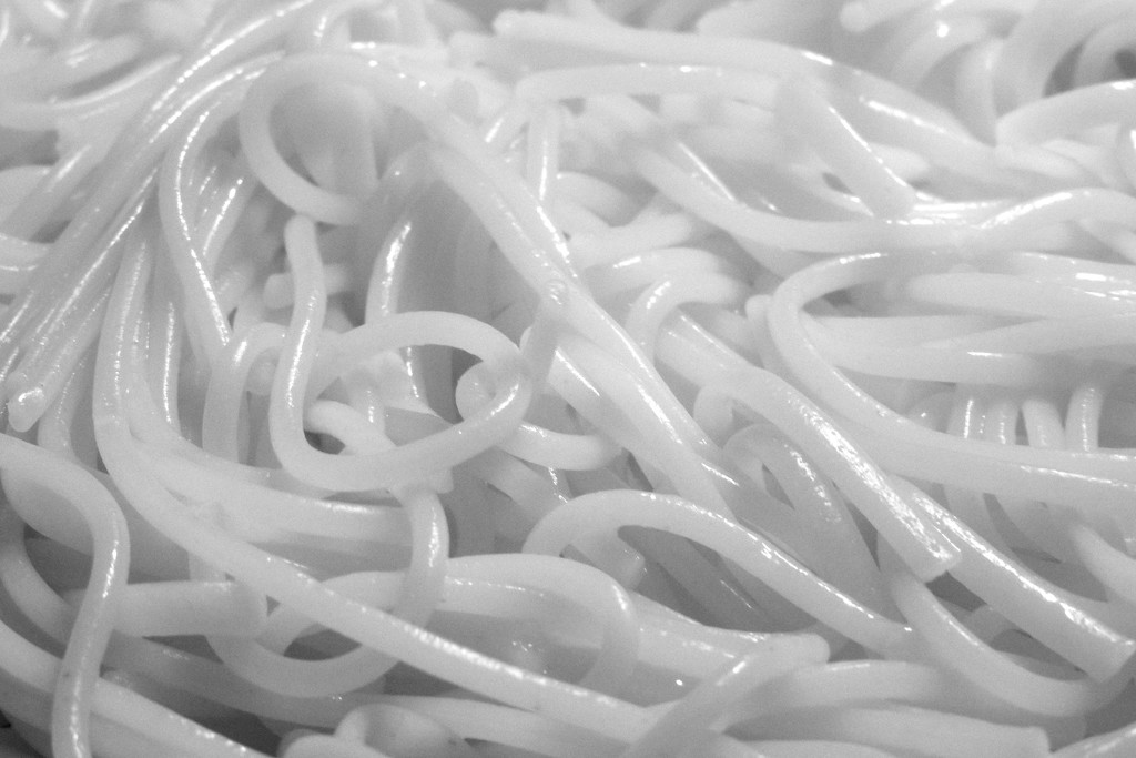 White Spaghetti by homeschoolmom