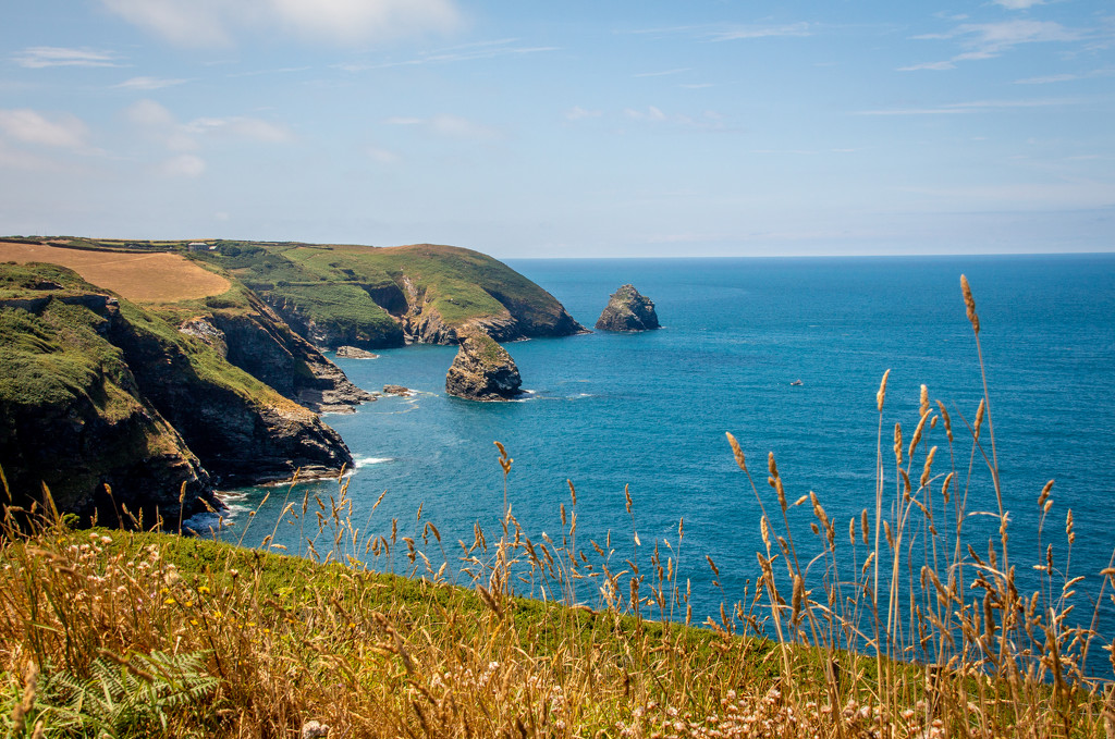 Cornish Coastline by swillinbillyflynn