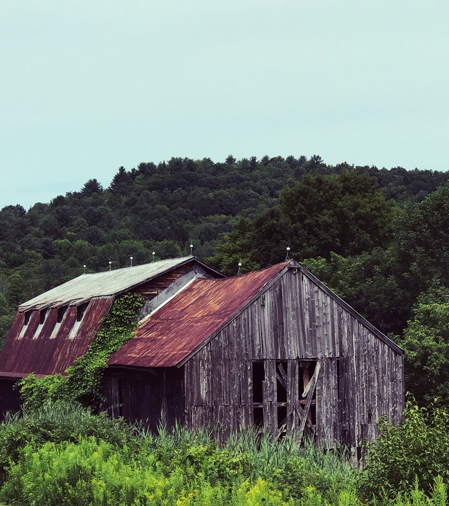 Day 317:  Vermont #2 by sheilalorson