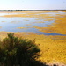 Salt Marshes on Il de Re by terryliv